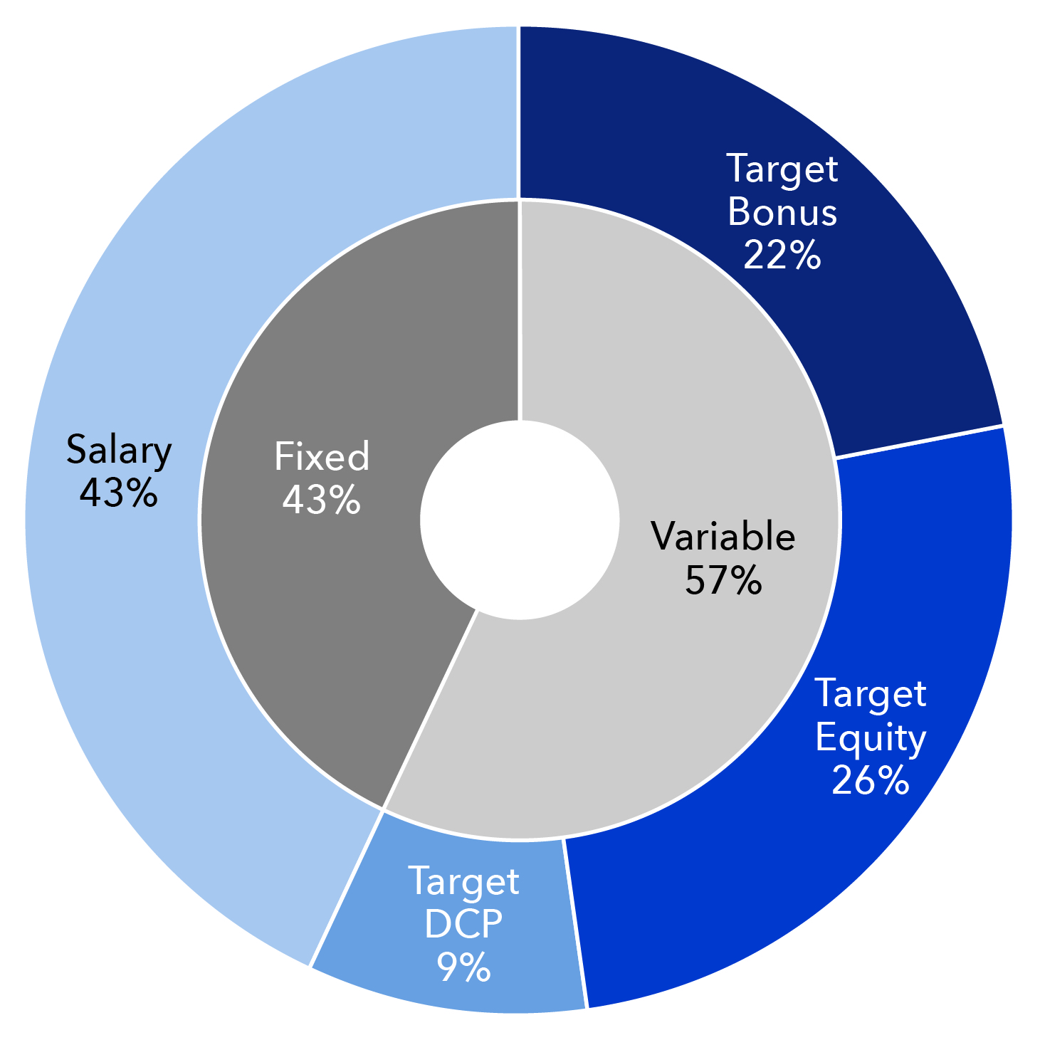 target pay mix graphs-2023-CEO.jpg